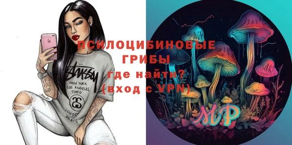 СК Абаза
